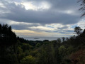 Viewpoint