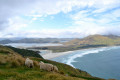 Viewpoint