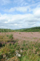 From Eshywulligan to Tully Forest - Sliabh Beagh Way