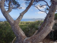 Balade dans Porquerolles Balade dans Porquerolles