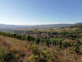 Vignes de Boudes