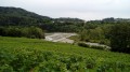 Vignes de Pont