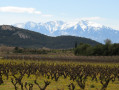 Autour de Tautavel