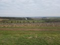Vignes et château de Saint-Céols