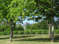 Vignes et Château de Menetou-Salon