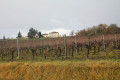 Vignes et le hameau du Pontignac