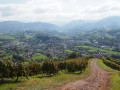 Vignes et sentier à la fin du parcours