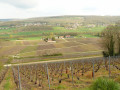 Entre Marne et vignes, au Mont-Saint-Père et sur le Coteau des Orchidées