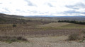 Vignes vers Chaussy