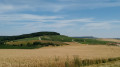 Vignoble de Villevenard