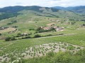 Vignoble du Beaujolais