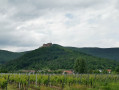 Vignoble et château de Hambacher