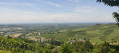 Vignoble et plaine du Rhin