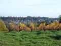 Le vignoble du Vouvray et la vallée de la Brenne Le vignoble du Vouvray et la vallée de la Brenne