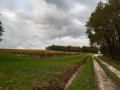 Vignoble