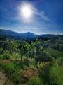 Panoramas autour de Sasbachwalden