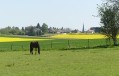 village de Diant village de Diant