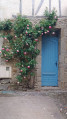 village fleuri de roses