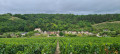 Village