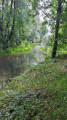 Ville-sur-Yron