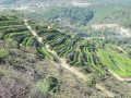 Villeneuve_paradis_vignes Villeneuve_paradis_vignes