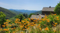 Tour de la haute vallée du Gardon d’Alès