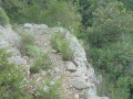 Virage de sentier.