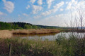 Vogelschutzgebiet Rothsee