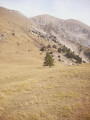 Voie de descente
