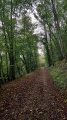 Boucle des Ponts Tarrets au départ de Sarcey