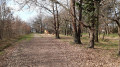 Voie principale du parc