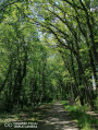 Voie verte