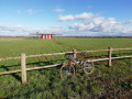 Jusqu'au "VOR" aux environs de Dorlisheim