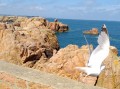 Vue du Phare du Paon