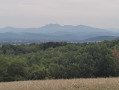 Les bois de Bonnac
