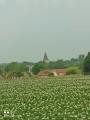vu sur le village de wailly