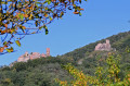 Vu sur les châteaux de Ribeauvillé.