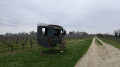 Vu sur les vignes