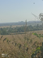 La Vignette depuis Givenchy-en-Gohelle