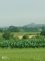 vu sur ohlain