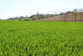 Entre Mauzac et Montaut Entre Mauzac et Montaut