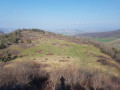 Vue 1 depuis la forêt du Puy Saint-Romain