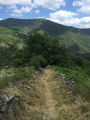 Vue après le passage des ruches