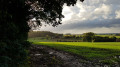 Vue au coin de l'Avenue du Bois