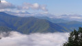 View at the start