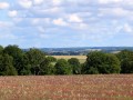 Vue au niveau de la Détourbe