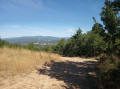 Vue au nord