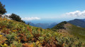 Vue vers l'Est depuis l'Orsagha
