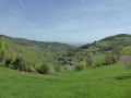 Vue champêtre