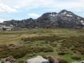 vue c&ocirc;t&eacute; Nord du Castellu d'Ornucciu